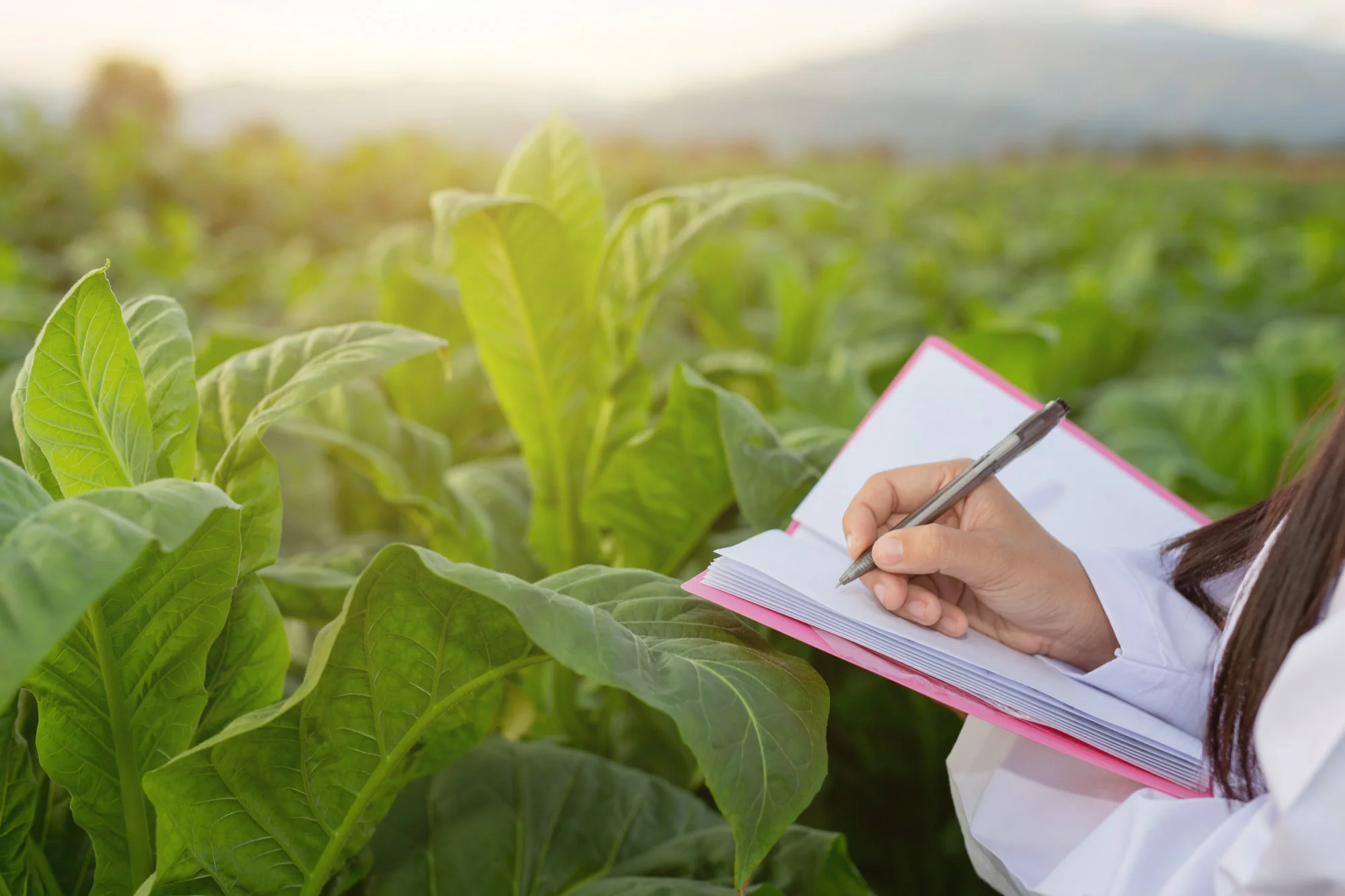 aide assistance administrative pour agriculteurs en Creuse